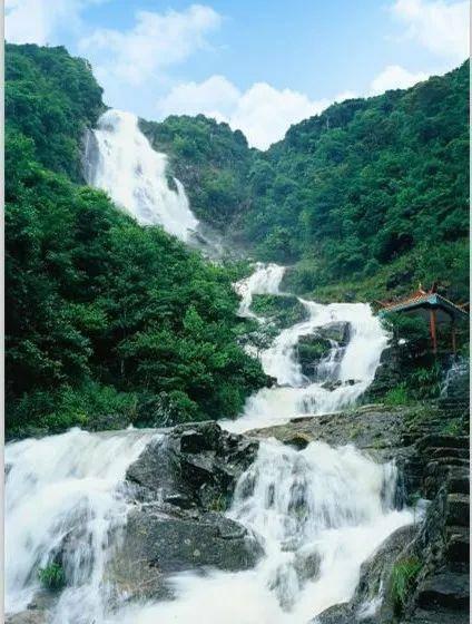 你能逃离此地吗